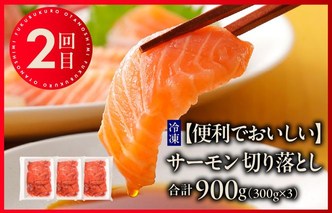 099Z158 泉佐野お楽しみ福袋 定期便 全3回 牛肉 ステーキ 海鮮 サーモン 野菜【毎月発送コース】
