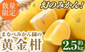 ＜先行予約受付中！2026年2月上旬以降順次発送予定＞まなべみかん園の黄金柑(約2.5kg) 国産 鹿児島県産 阿久根市産 柑橘類 果物 フルーツ みかん ミカン 蜜柑 期間限定 数量限定 贈答用 ギフト プレゼント デザート 【有限会社まなべみかん園】akn034-01