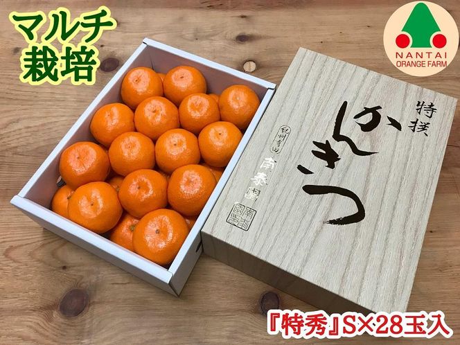 マルチ栽培 有田 みかん 化粧小箱 特秀 S サイズ 28玉入 南泰園 BS667