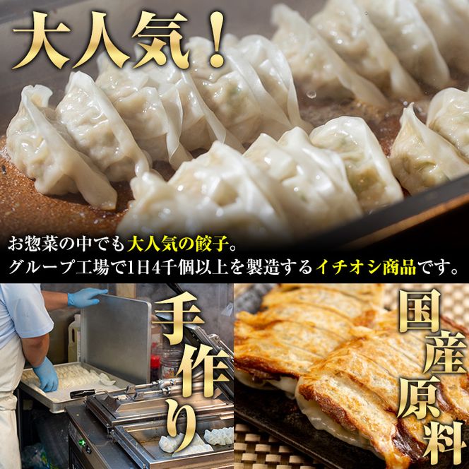 国産豚肉使用！手作りニンニク餃子(計100個・10個×10パック)国産 ギョウザ ぎょうざ お肉 にんにく おかず 惣菜 おつまみ【スーパーよしだ】akn058-06