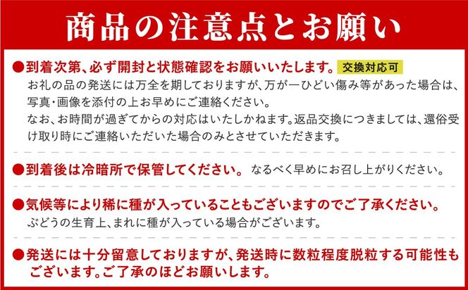 シャインマスカット 1.3kg 2房 先行予約 冷蔵 種無し 種なし ブドウ ぶどう 品種 果物 甘さ 香り 美味しい 食べ方 人気 ランキング おすすめ 家庭用 福島 ふくしま 田村 田村市 たむら 鈴木農園 でんじろうさん N046-002