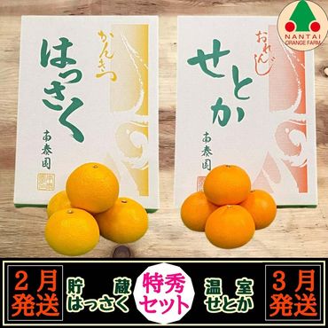 田口の清見オレンジ 秀品 5kg L～３L（30玉～18玉）化粧箱入り サイズ