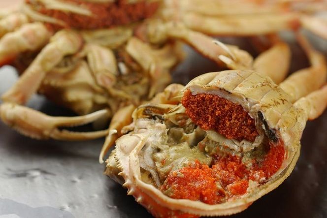 【蟹の匠 魚政】内子外子が美味! 茹でたて セイコガニ（セコ蟹）（香箱ガニ）（こっぺ）小サイズ 5匹セット カニ 蟹 セイコ蟹 セコガニ 香箱ガニ コッペガニ ボイル　UO01378