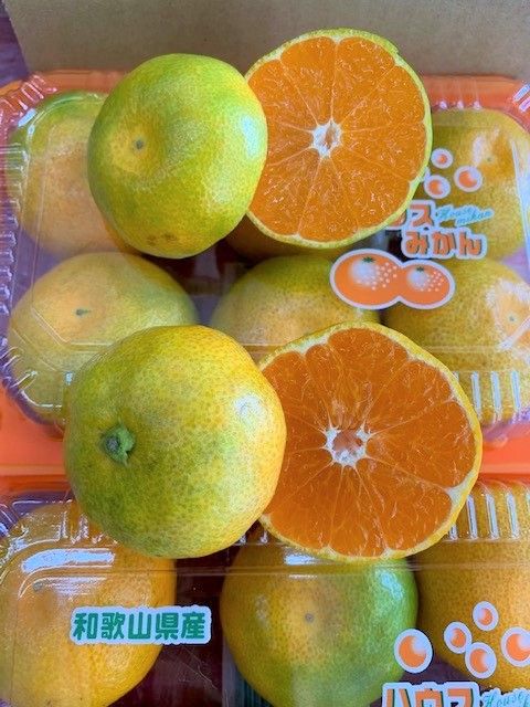 グリーンハウスみかん　4パック【マルシ農園】 CC15