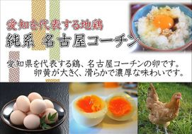 【3か月定期便】日本三大地鶏！！ 「純系　名古屋コーチンの卵」（30個）　本当に美味しい食べ物は調味料の味に負けません！ 232238_EE16