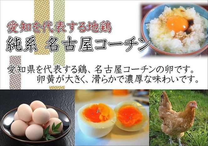 【3か月定期便】日本三大地鶏！！ 「純系　名古屋コーチンの卵」（30個）　本当に美味しい食べ物は調味料の味に負けません！ 232238_EE16