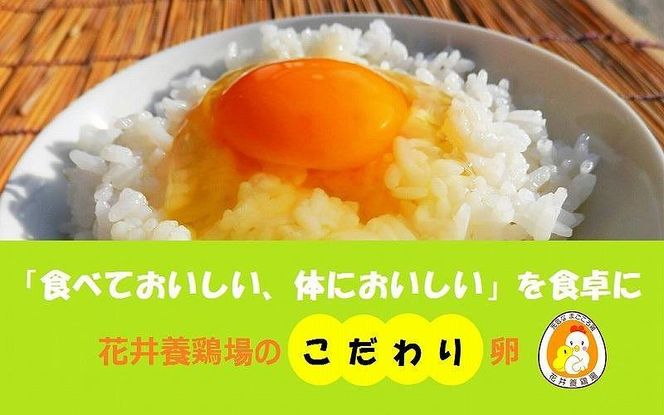 【3か月定期便】日本三大地鶏！！ 「純系　名古屋コーチンの卵」（30個）　本当に美味しい食べ物は調味料の味に負けません！ 232238_EE16