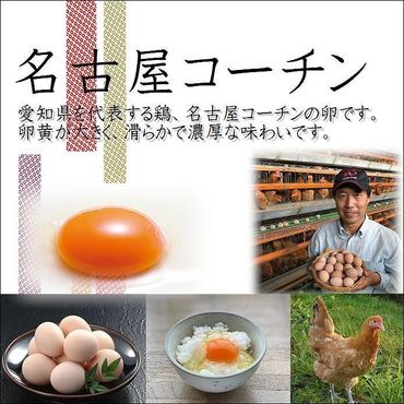 業務用　日本三大地鶏！！ 「純系　名古屋コーチンの卵」（90個）　本当に美味しい食べ物は調味料の味に負けません！ EE19