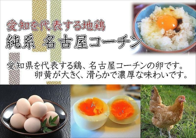 日本三大地鶏!! 「純系 名古屋コーチンの卵」(30個) 本当に美味しい食べ物は調味料の味に負けません! 232238_EE24