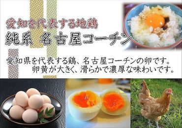 日本三大地鶏!! 「純系 名古屋コーチンの卵」（30個）　本当に美味しい食べ物は調味料の味に負けません！ 232238_EE24