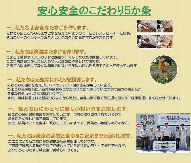 日本三大地鶏!! 「純系 名古屋コーチンの卵」（30個）　本当に美味しい食べ物は調味料の味に負けません！ 232238_EE24