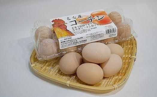 日本三大地鶏!! 「純系 名古屋コーチンの卵」（30個）　本当に美味しい食べ物は調味料の味に負けません！ 232238_EE24