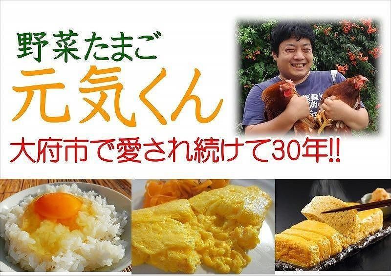 愛され続けて30年 「野菜たまご 元気くん」(40個) 日々のお料理がワンランクアップ!! 232238_EE25