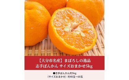 【C09020】【2027年1月下旬より発送】【大分市名産】まぼろしの逸品 志手ぽんかん サイズおまかせ5kg