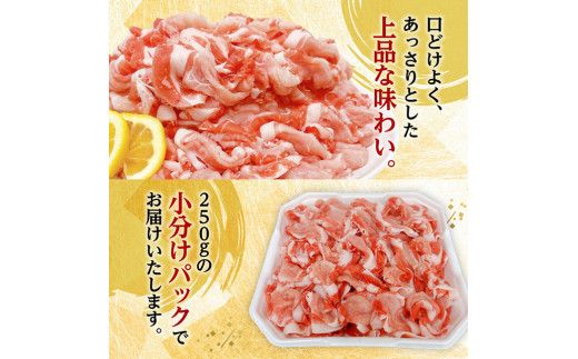 【小分け】宮崎県産豚肉切り落とし3.5kg（250g×14） 【 豚肉 豚 肉 宮崎県産 小分け パック 送料無料 】[C11630]
