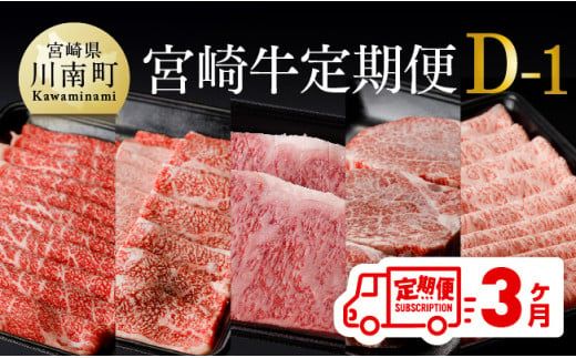 [定期便]宮崎牛3ヶ月定期便D-1[ 国産 九州産 肉 牛 宮崎県産 牛肉 黒毛和牛 ミヤチク 全3回 ][D00680t3]