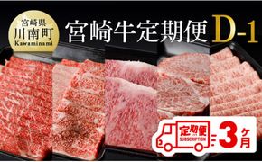 【定期便】宮崎牛３ヶ月定期便Ｄ‐１【 国産 九州産 肉 牛 宮崎県産 牛肉 黒毛和牛 ミヤチク 全3回 】[D00680t3]