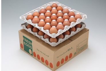 スズキのたまご　地養卵　MS～L　50個