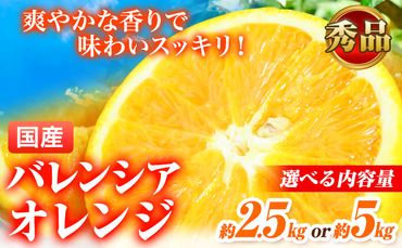 【先行予約】【秀品】希少な国産バレンシアオレンジ 選べる 2.5kg・5kg 株式会社 魚鶴商店《2025年6月下旬-7月上旬出荷》和歌山県 日高町 オレンジ 柑橘 フルーツ 果物---wsh_uot49_6g7j_24_10000_2500g---