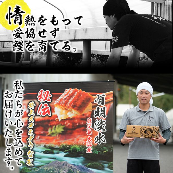 【数量限定】鹿児島県産！秘伝の特上スタミナうなぎ蒲焼き＆白焼きセット！＜計260g以上＞ a5-265