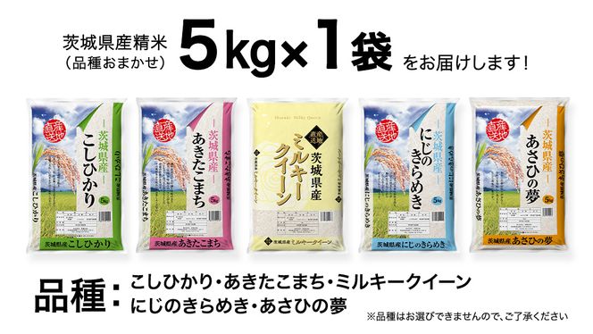 【 先行予約 2024年5月中旬以降発送 】 令和5年産 茨城県産米 品種 おまかせ 5kg ( 5kg × 1袋 ) コシヒカリ あきたこまち ミルキークイーン にじのきらめき あさひの夢 精米 お楽しみ おたのしみ 茨城 [AK026ya]