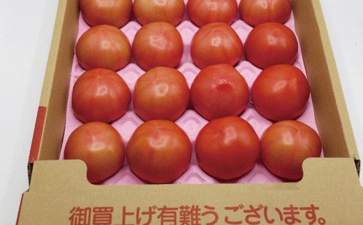 桃太郎トマト4kg（18玉～24玉）【ほたるの里】_HA0572