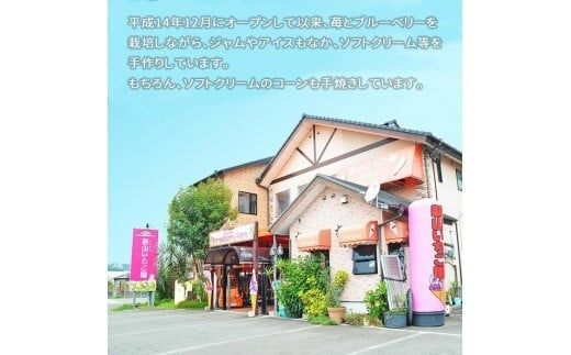 ＜ソフトクリーム屋さんの自家製ブルーベリージャム250g×3＞2か月以内に順次出荷【c584_sn_x2】 ジャム 3個