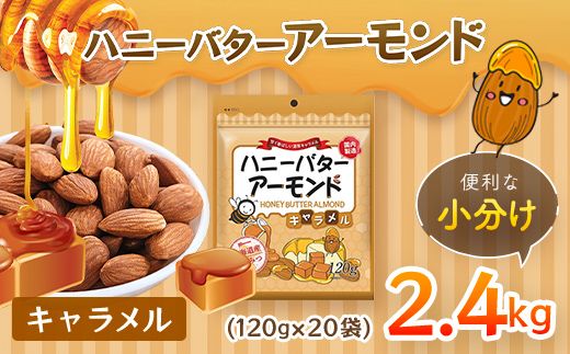 yQnsznj[o^[A[h L 2400gi120g×20܁j ANAL12-002