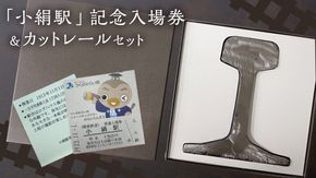 「 小絹駅 」 記念入場券 ・ カットレール セット 鉄道 関東鉄道 常総線 小絹駅 鉄道ファン つくばみらい市 みらいりんぞう ふるさと納税限定 [EE01-NT]