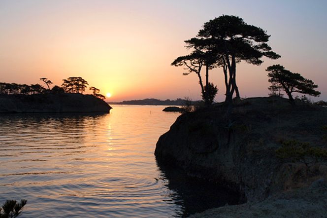 【メディアで多数紹介】ハーバーハウスかなめの『季節の表松島体験』宿泊プラン(大人1人、1泊3食付)|06_rkk-061601