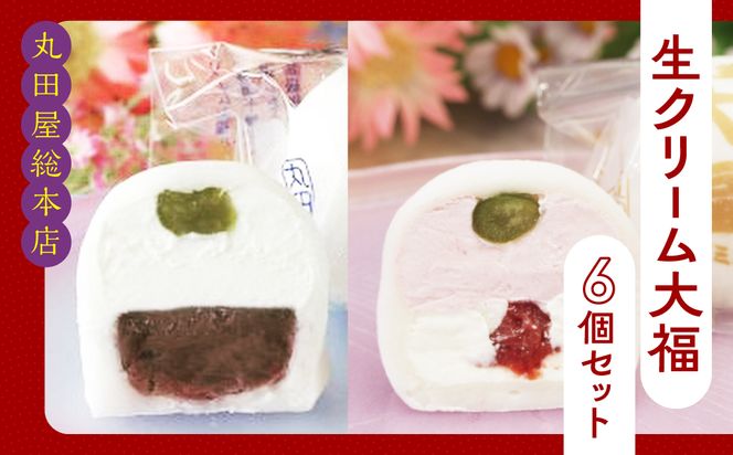 生クリーム大福6個セット  ANQ001