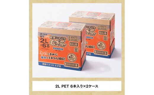 健康ミネラル むぎ茶2L×6本×2ケースPET [6ケ月定期便] （麦茶）[D07359t6]