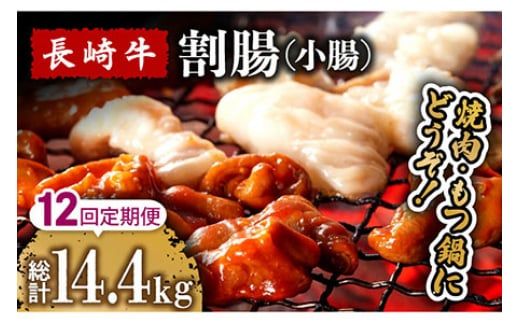 【12回定期便】長崎牛 割腸 (小腸) 焼肉・ホルモン 鍋 用 1.2kg / ホルモン 牛 もつ鍋 南島原市 / はなぶさ [SCN120]