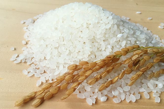 米 令和8年 つぶら野米 コシヒカリ 白米 3kg [つぶら野米 山梨県 韮崎市 20743404] こめ コメ お米 精米 こしひかり