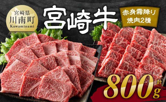 宮崎牛赤身霜降り焼肉2種 800g[肉 牛肉 国産 宮崎県産 宮崎牛 黒毛和牛 和牛 焼肉 BBQ 4等級 A4ランク 肩ロース ウデ モモ E11124]