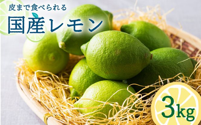 【2024年10月〜発送】国産 レモン  3kg / フルーツ 果物 檸檬 / 南島原市 / 長崎県農産品流通合同会社 [SCB035]