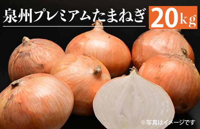 G859 射手矢さんちの泉州プレミアムたまねぎ 20kg 