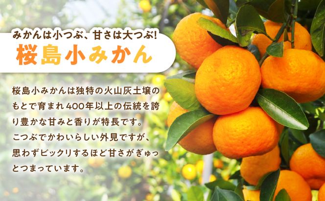 【2024年12月2日までの申込限定】桜島小みかん　K247-001