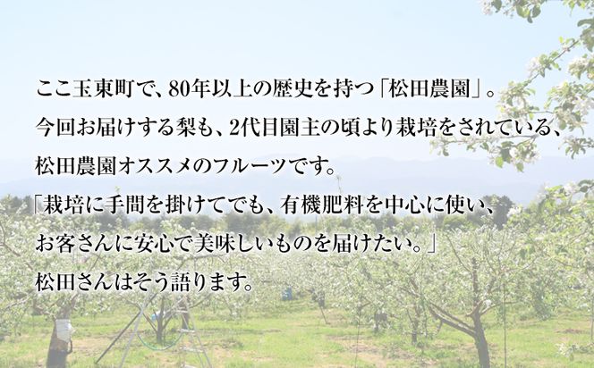 【先行予約】秋 旬 梨 期間限定 【日付指定不可】梨 『松田農園』の くまもと 梨 たっぷり 約2kg 5-7玉前後 予約 受付中 熊本県玉名郡玉東町『松田農園』なし 果物 スイーツ フルーツ デザート スムージー 《7月下旬-9月末頃出荷》 SDG`s---sg_cmtdnasi_cf79_26_10000_2kg---