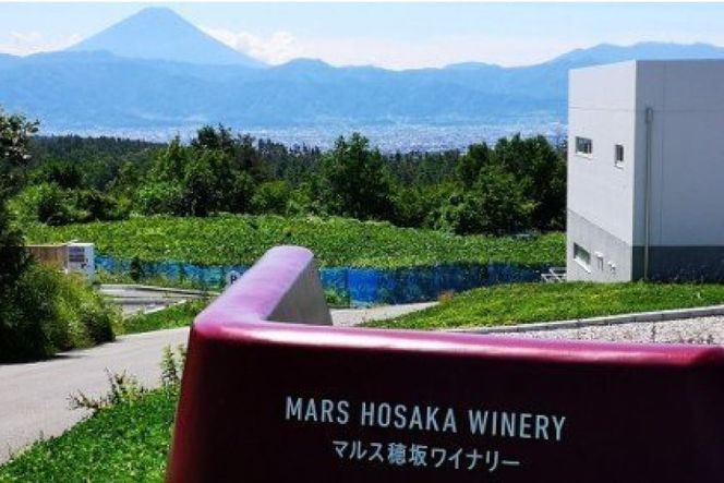 マルスワインシルバー 赤 白 2本セット 各1.8L×1 計2本 一升瓶ワイン ミディアムボディ ＆ 中口 [本坊酒造 マルス穂坂ワイナリー 山梨県 韮崎市 20743452] ワイン 赤ワイン 白ワイン ワインセット 赤白