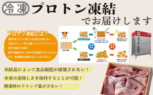 【A-354】宝牧場 近江牛 ハラミ焼肉用 1kg［高島屋選定品］