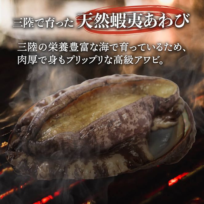 y茧DnszG]Ar 500g ① ڈ΂ O Ar 鸁y56500242z