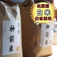 【令和6年産】新米 先行予約【3回定期便】京都・神前米 キヌヒカリ 10kg× 3ヶ月 計30kg◇ ☆精米したてをお届け ※2024年9月中旬以降順次発送 ｜ 減農薬 自家栽培米 生産農家 直送 米 精米 クリーン白米 新生活