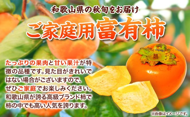 ＊先行予約＊【ご家庭用訳あり】 和歌山 秋の味覚 富有柿 約7.5kg 株式会社魚鶴商店《2026年11月中旬-12月上旬頃出荷》和歌山県 日高町 柿 富有柿 フルーツ---wsh_uot197_11c12j_25_23000_75---