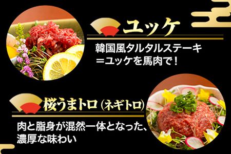 馬刺し7部位堪能セット 約510g タレ付き 千興ファーム 馬肉 冷凍 《60日以内に出荷予定(土日祝除く)》 新鮮 さばきたて 生食用 肉 熊本県御船町 馬刺し 馬肉 希少部位 タタキ 赤身 霜降り ---mifune_snk_5_510g---