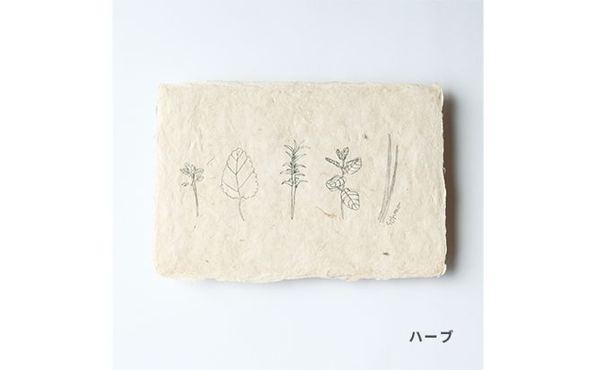 【奏華舎】土佐和紙カード＆染紙封筒セット（ボタニカル / アソート３種）