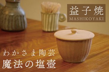 BJ009　益子焼 魔法の塩壺　わかさま陶芸