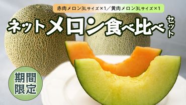 茨城県産 ネット メロン 食べくらべ 食べ比べ 2種 果物 フルーツ 赤肉 黄肉 青肉 めろん 3L 2玉 期間限定 旬  [AM042us] 
