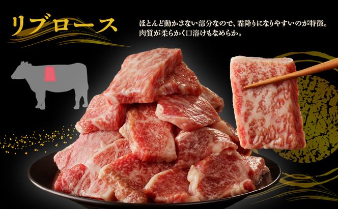 G1236 【特別寄附金額】黒毛和牛A5/A4等級 切り落とし 味付き 焼肉セット 600g（サーロイン 300g／リブロース 300g） ギフト プレゼント に最適