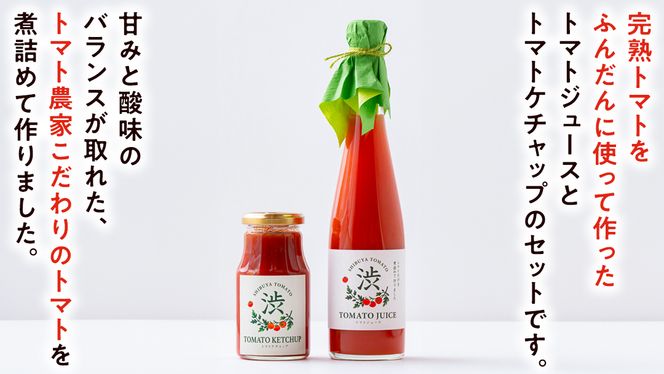 【 数量限定】【先行予約 】 -太陽の味- トマトジュース・トマトケチャップ各2本セット トマト フルーツトマト ミニトマト 茨城 リコピン ビタミン 野菜 甘い 直売所 トマトジュース ケチャップ [EL03-NT]